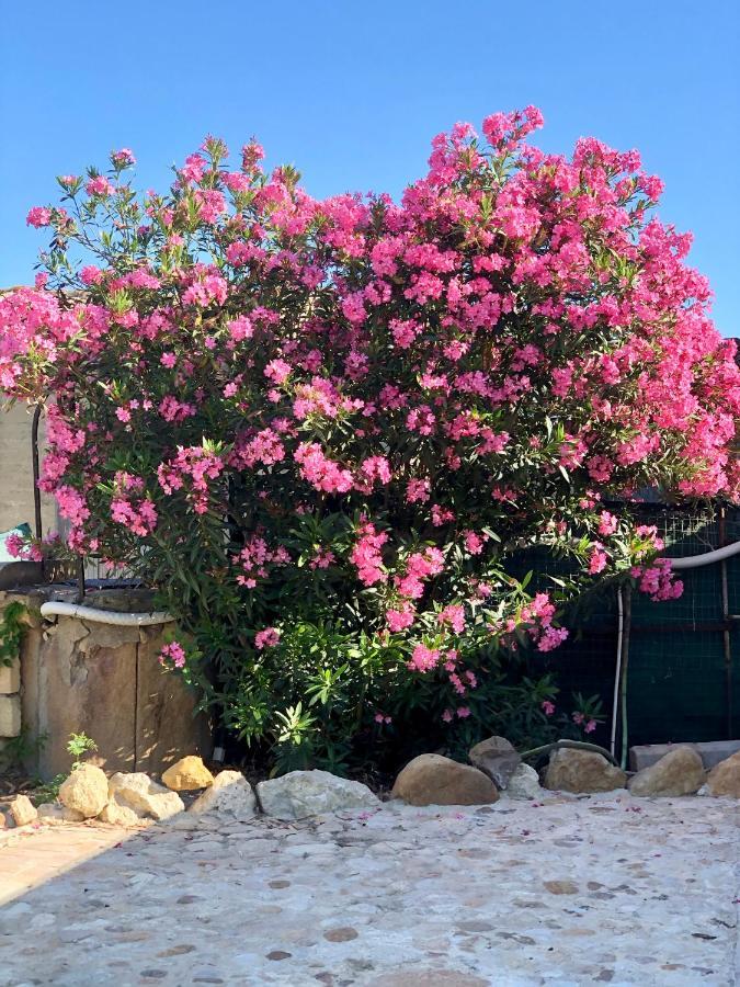 Agrialma Hotel Agrigento Buitenkant foto